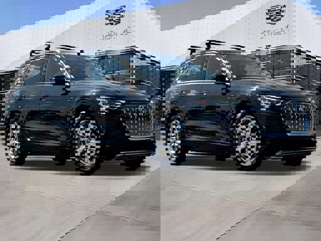 Used 2019 Audi e-tron Premium Plus image 2