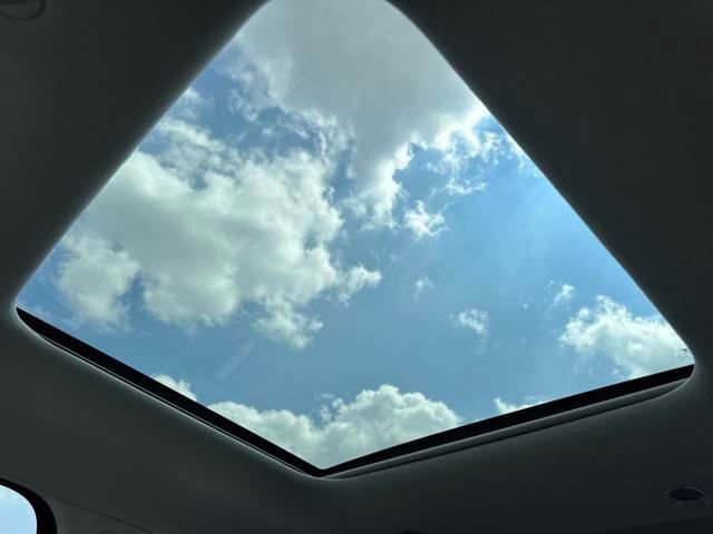 New 2026 Hyundai Palisade Calligraphy image 38