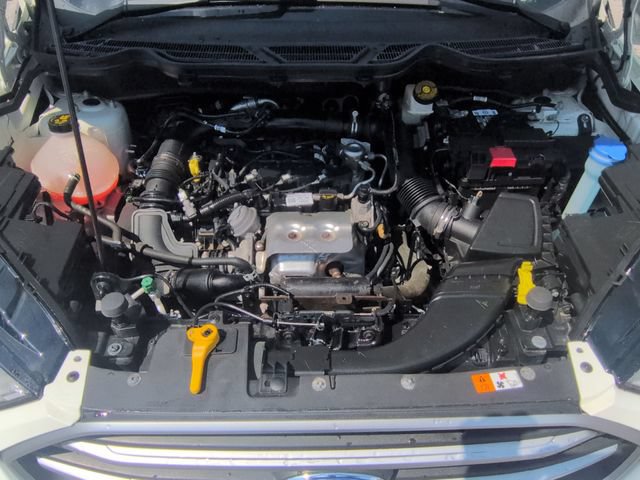 Used 2021 Ford EcoSport SE w/ SE Convenience Package FWD image 34