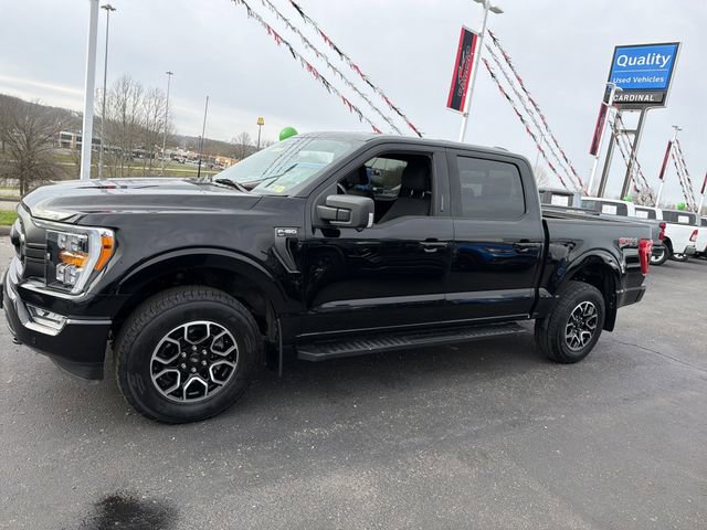Used 2023 Ford F150 XLT w/ Equipment Group 302A High image 9