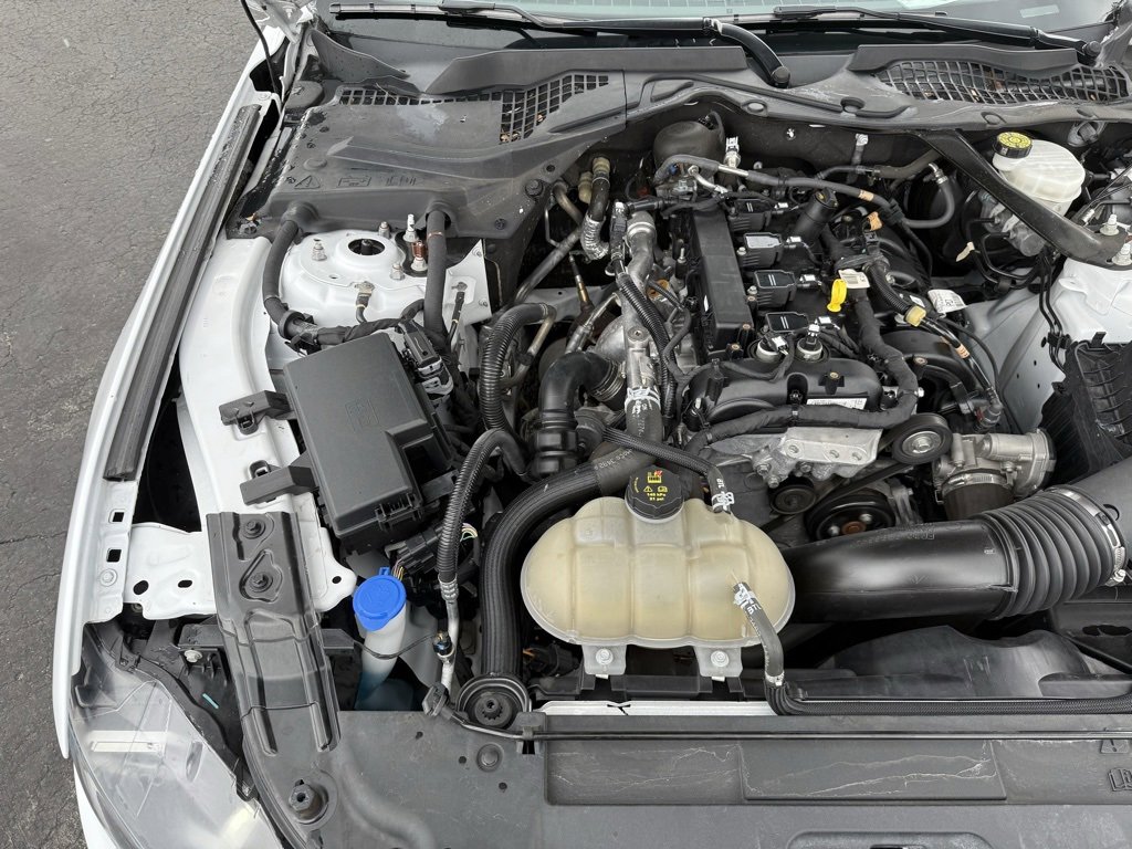 Used 2023 Ford Mustang Premium image 41