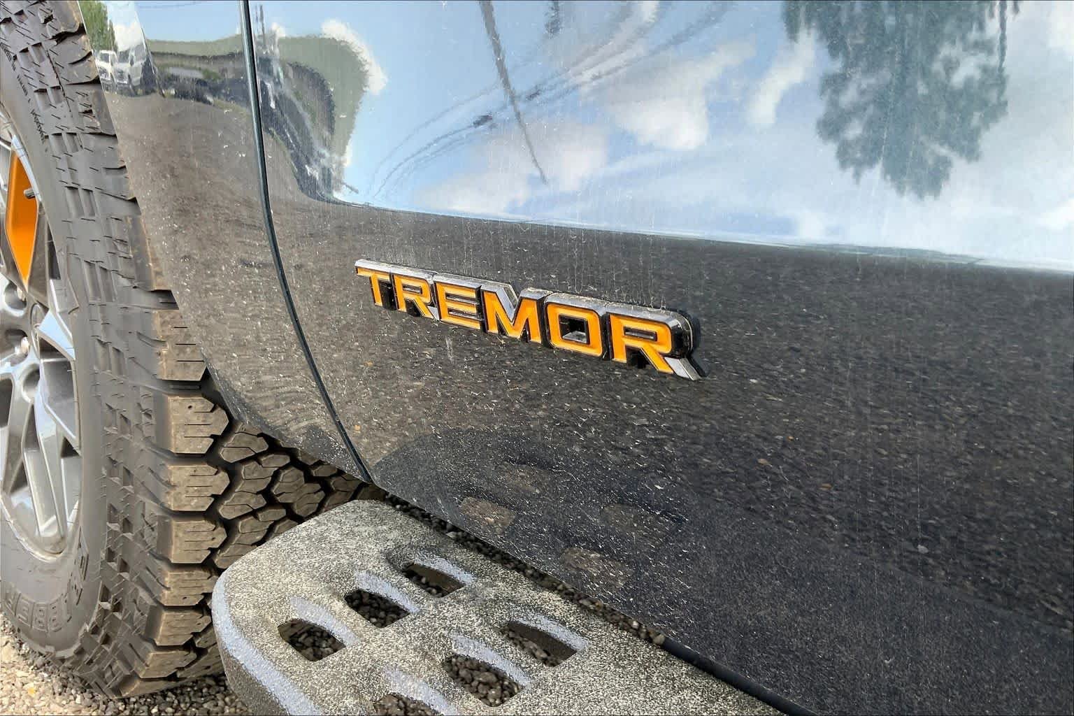 New 2026 Ford Expedition Tremor AWD/4WD image 15