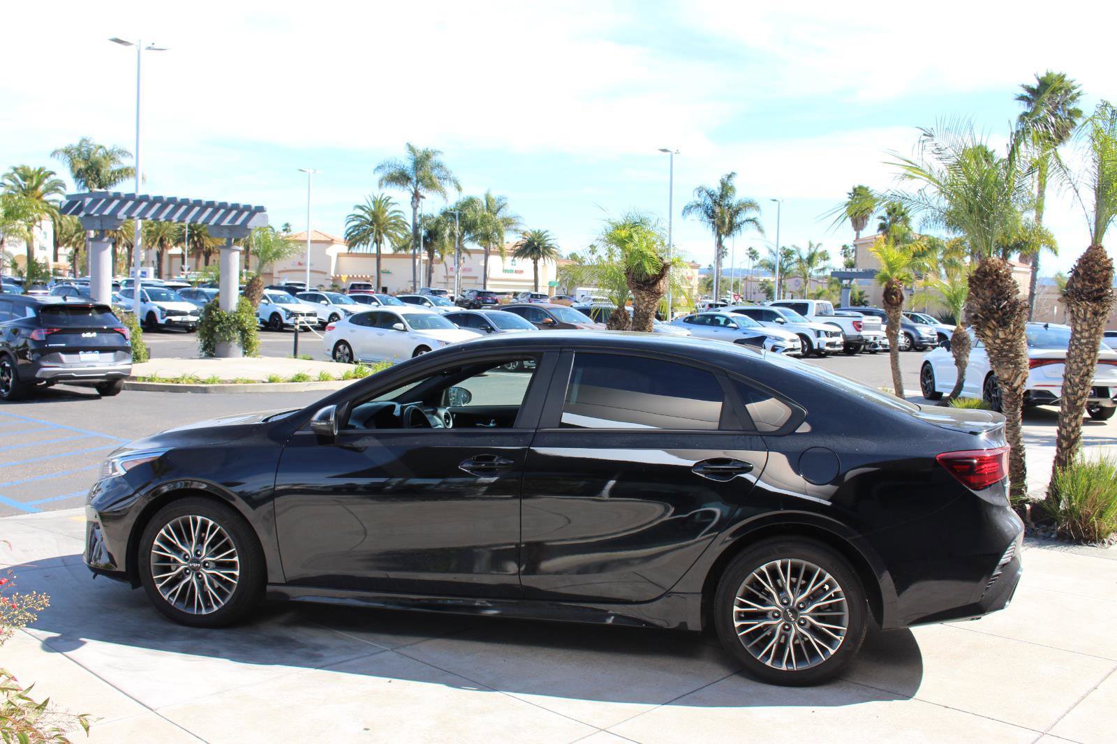 Used 2024 Kia Forte GT-Line image 6