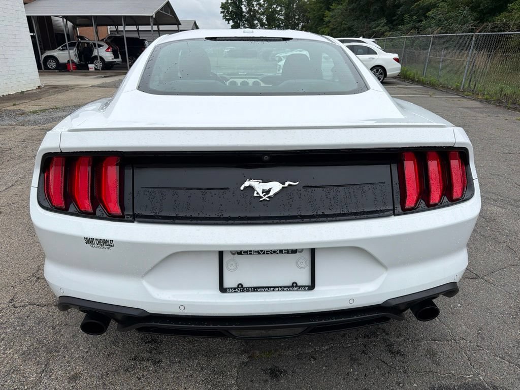 Used 2019 Ford Mustang EcoBoost Premium Coupe 2D w/ Equipment Group 101A RWD image 3