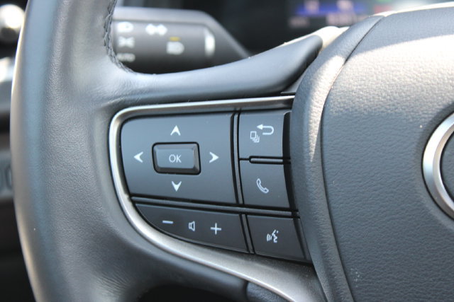 Certified 2025 Lexus UX 300h FWD image 18