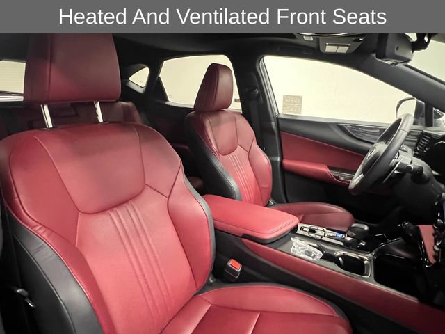 Certified 2024 Lexus NX 350 AWD w/ Vision Package image 11