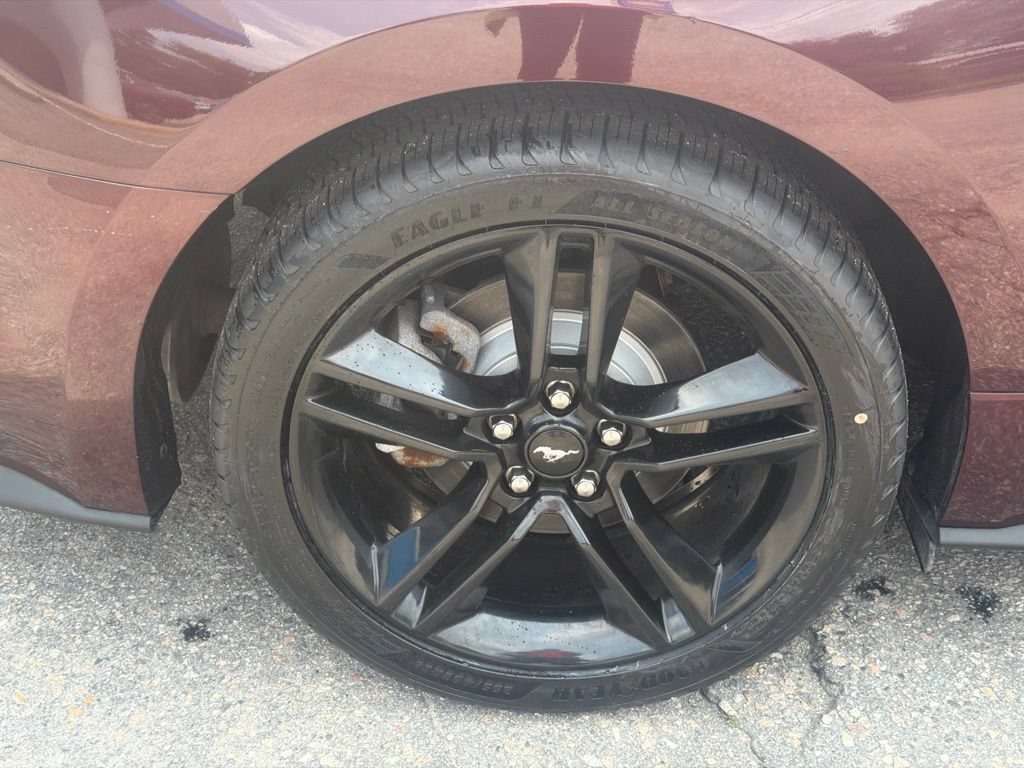 Used 2018 Ford Mustang Premium w/ Equipment Group 201A RWD image 14