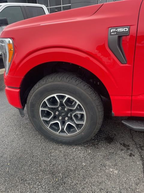 Used 2023 Ford F150 XLT w/ Equipment Group 302A High image 3