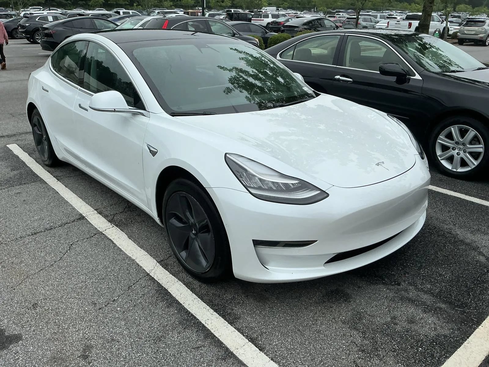 Used 2020 Tesla Model 3 Standard Range Plus RWD image 4