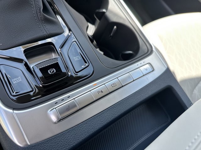 New 2026 Kia Carnival EX image 28