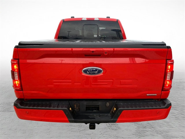 Used 2023 Ford F150 XLT w/ Equipment Group 302A High image 3