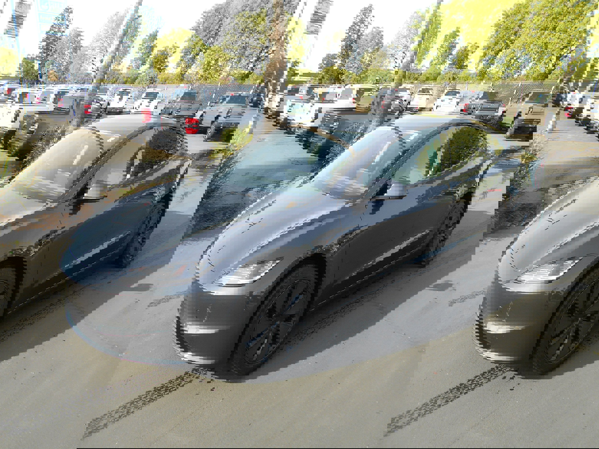 Used 2026 Tesla Model 3 RWD image 1