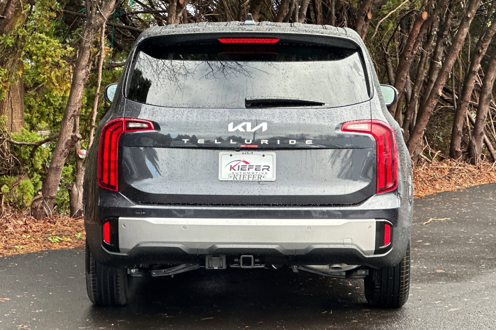 New 2025 Kia Telluride LX image 4
