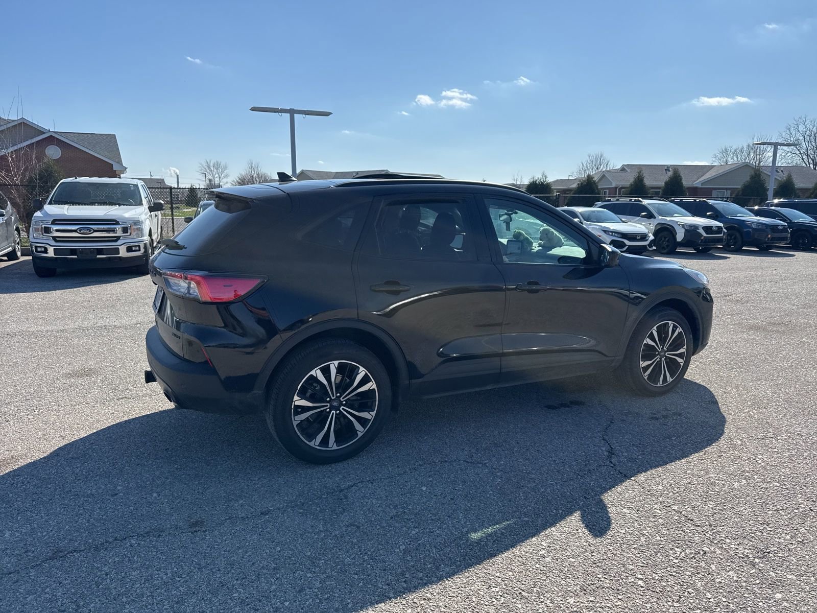 Used 2022 Ford Escape SEL w/ SEL Stealth AWD Package image 13