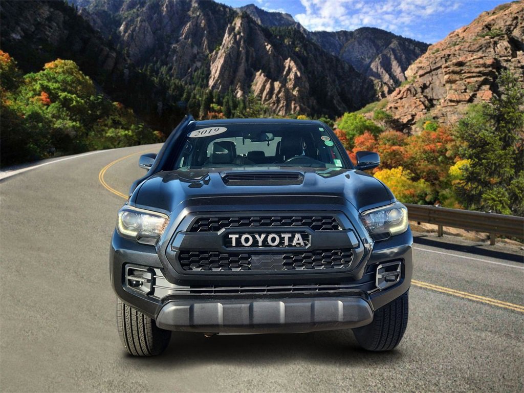 Used 2019 Toyota Tacoma TRD Pro image 6