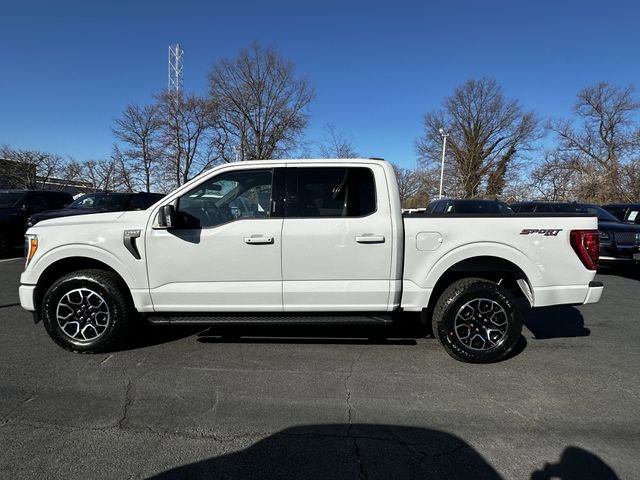 Certified 2023 Ford F150 XLT w/ Equipment Group 302A High image 8