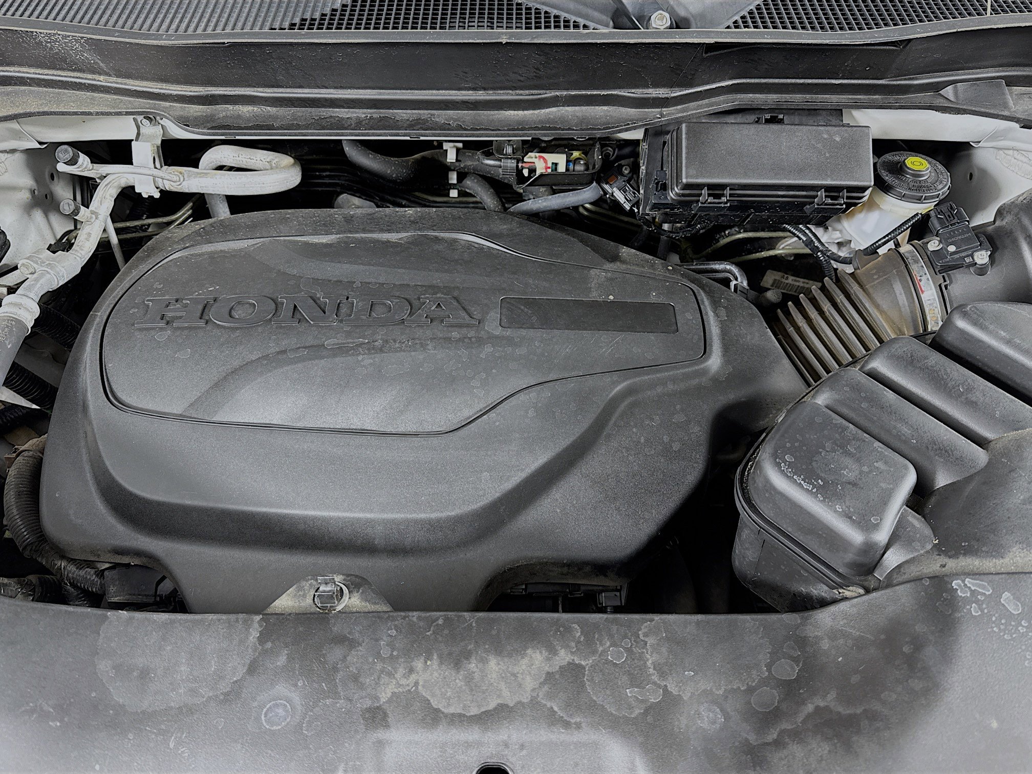 Used 2021 Honda Pilot Special Edition image 31