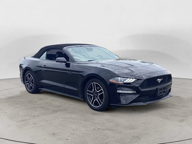 Used 2022 Ford Mustang Premium RWD image 7