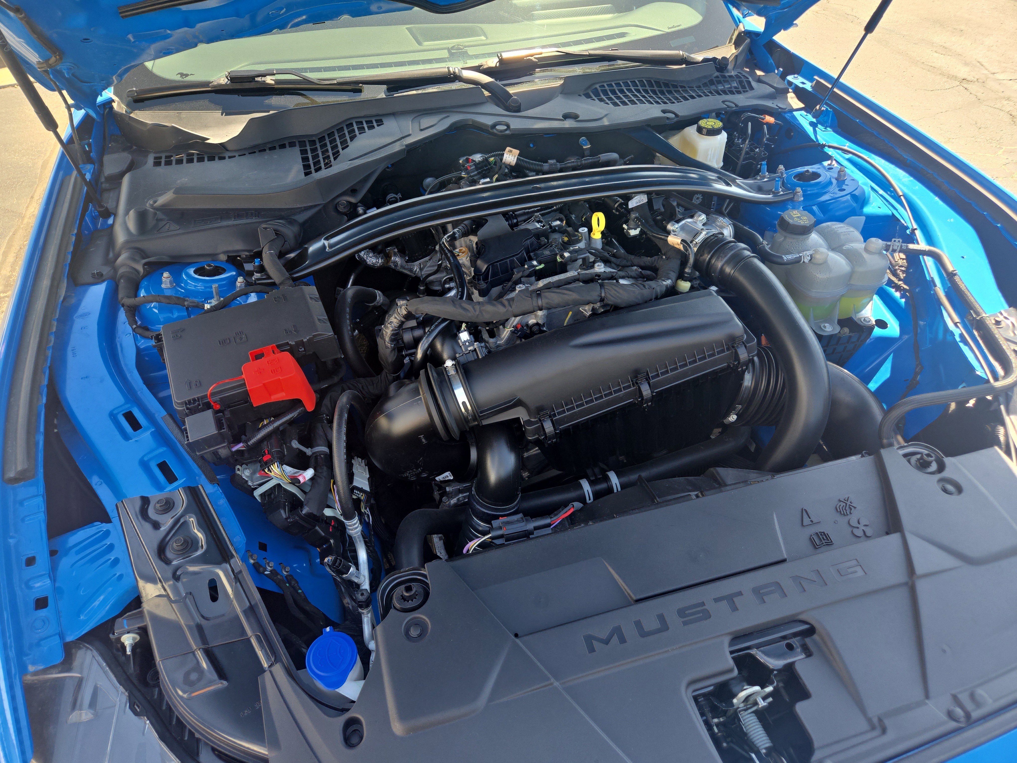 Used 2024 Ford Mustang Convertible w/ Mustang Nite Pony Package image 12