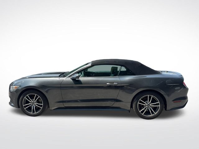 Used 2017 Ford Mustang Premium RWD image 2