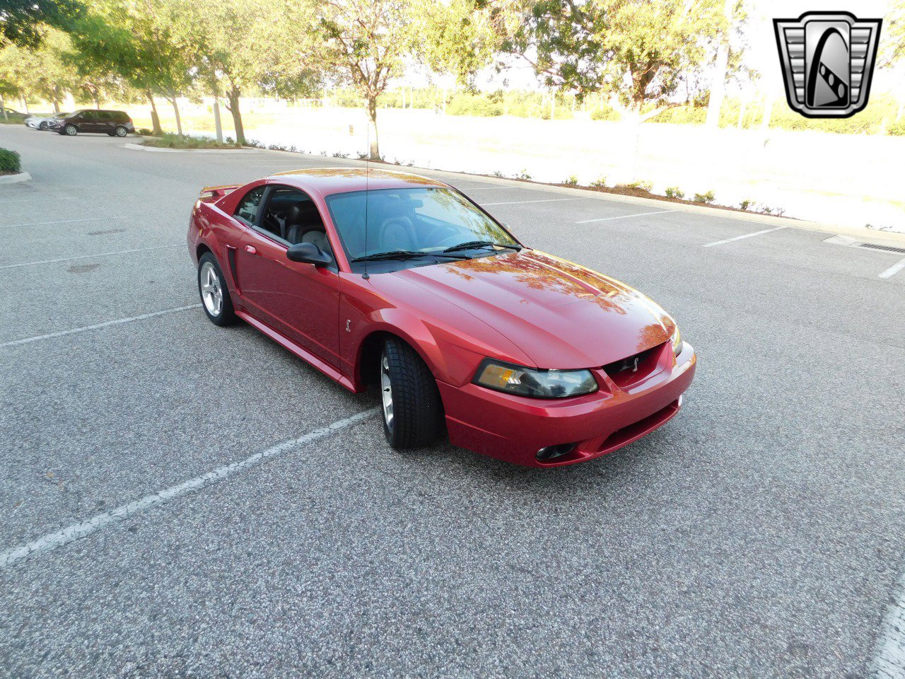 Used 2001 Ford Mustang Cobra image 27