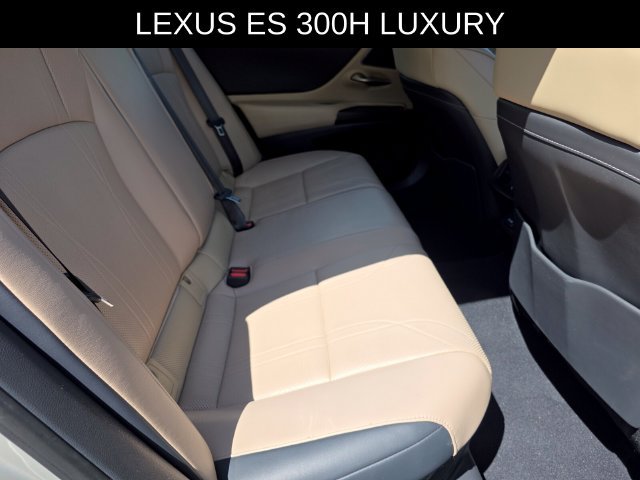 Used 2019 Lexus ES 300h w/ Accessory Package 2 FWD image 13