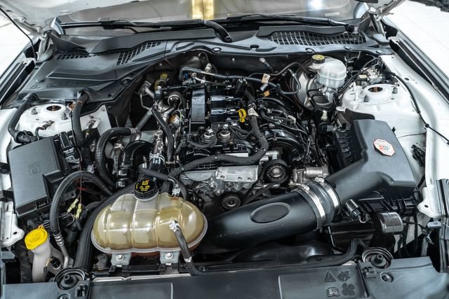 Used 2019 Ford Mustang Coupe w/ Black Accent Package RWD image 29