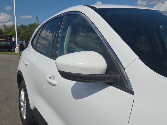 Used 2020 Ford Escape SE AWD/4WD image 5