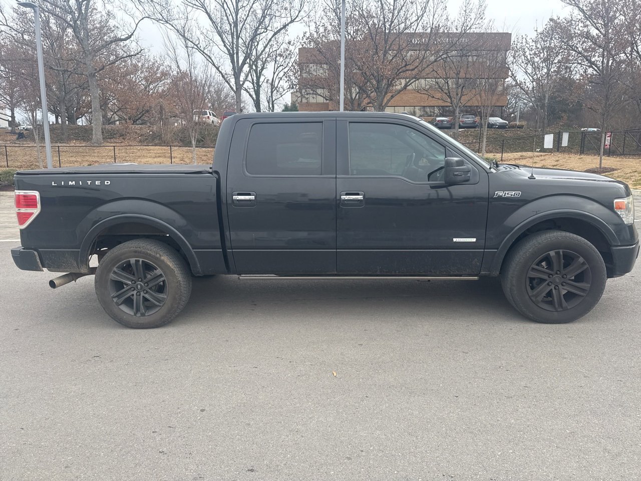 Used 2013 Ford F150 Limited image 3