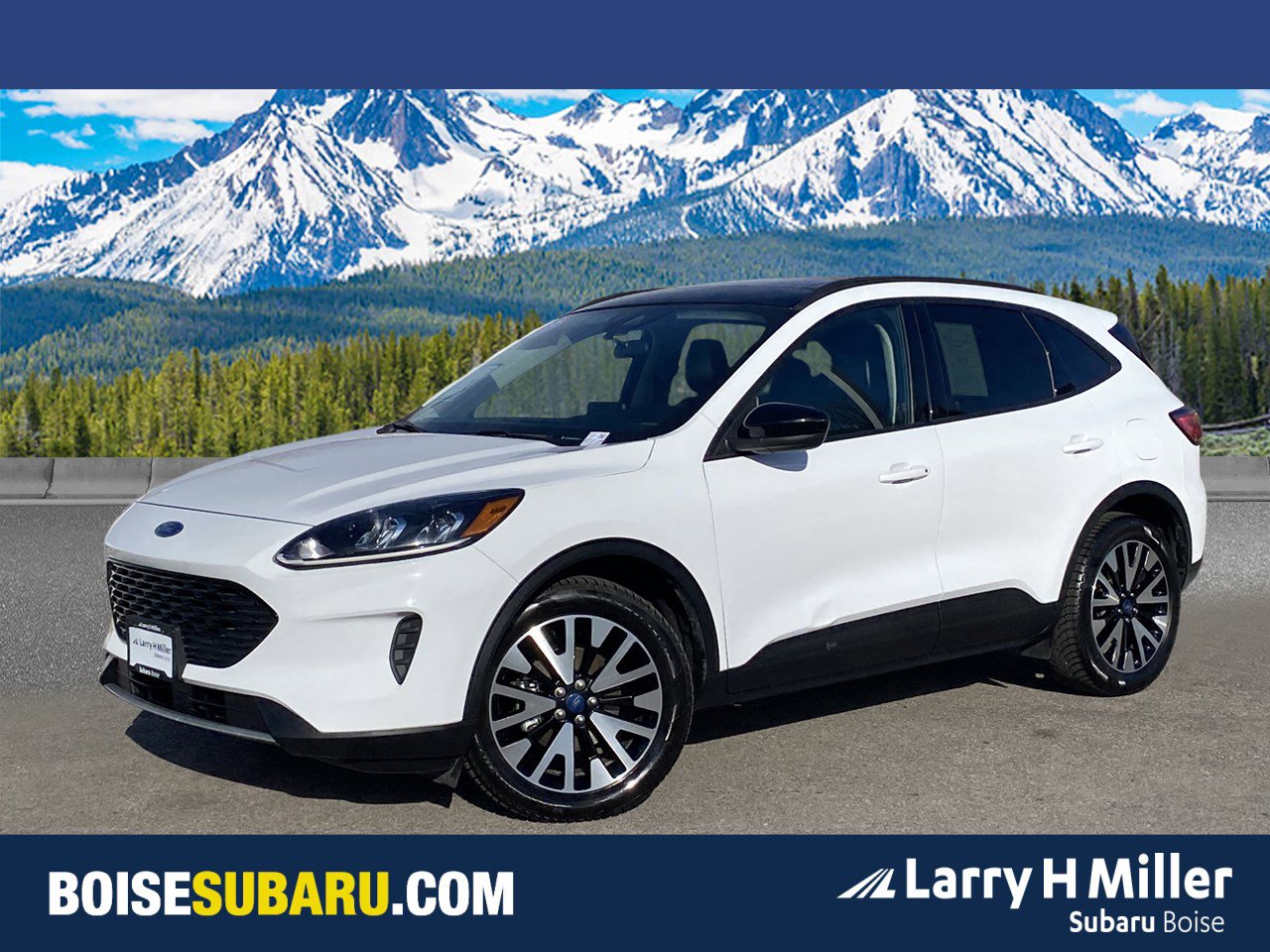 Used 2020 Ford Escape SE Sport