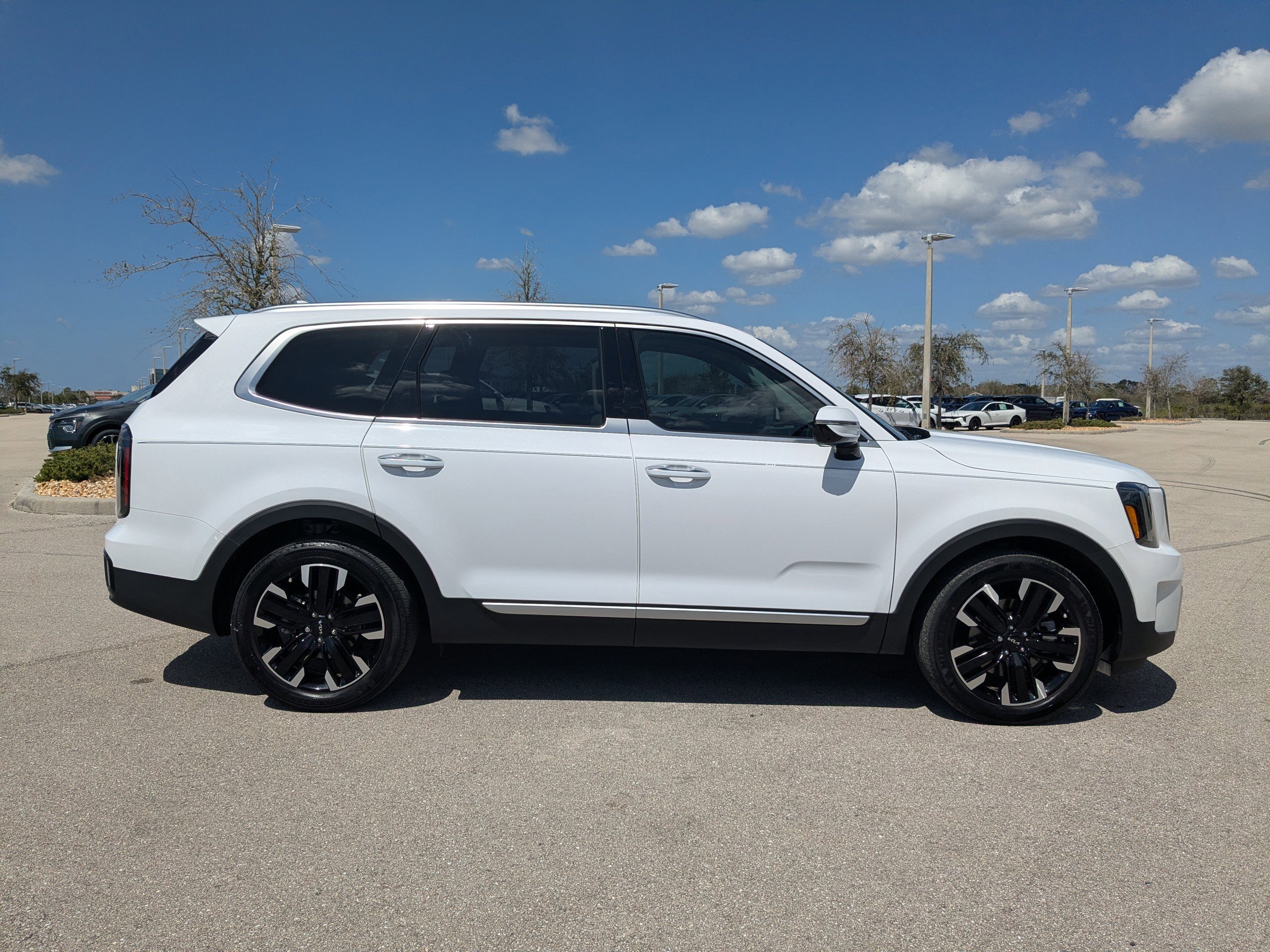 Certified 2024 Kia Telluride SX Prestige image 4