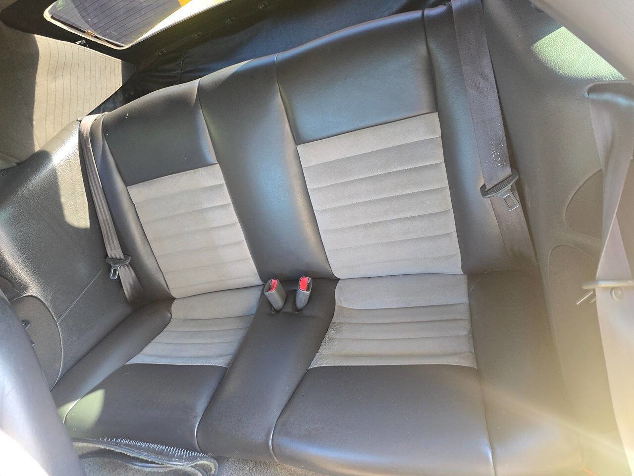 Used 2001 Ford Mustang Cobra RWD image 16