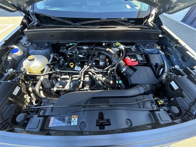 Used 2024 Ford Bronco Sport Badlands image 17