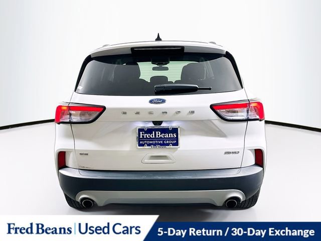 Used 2022 Ford Escape SE w/ Convenience Package image 7