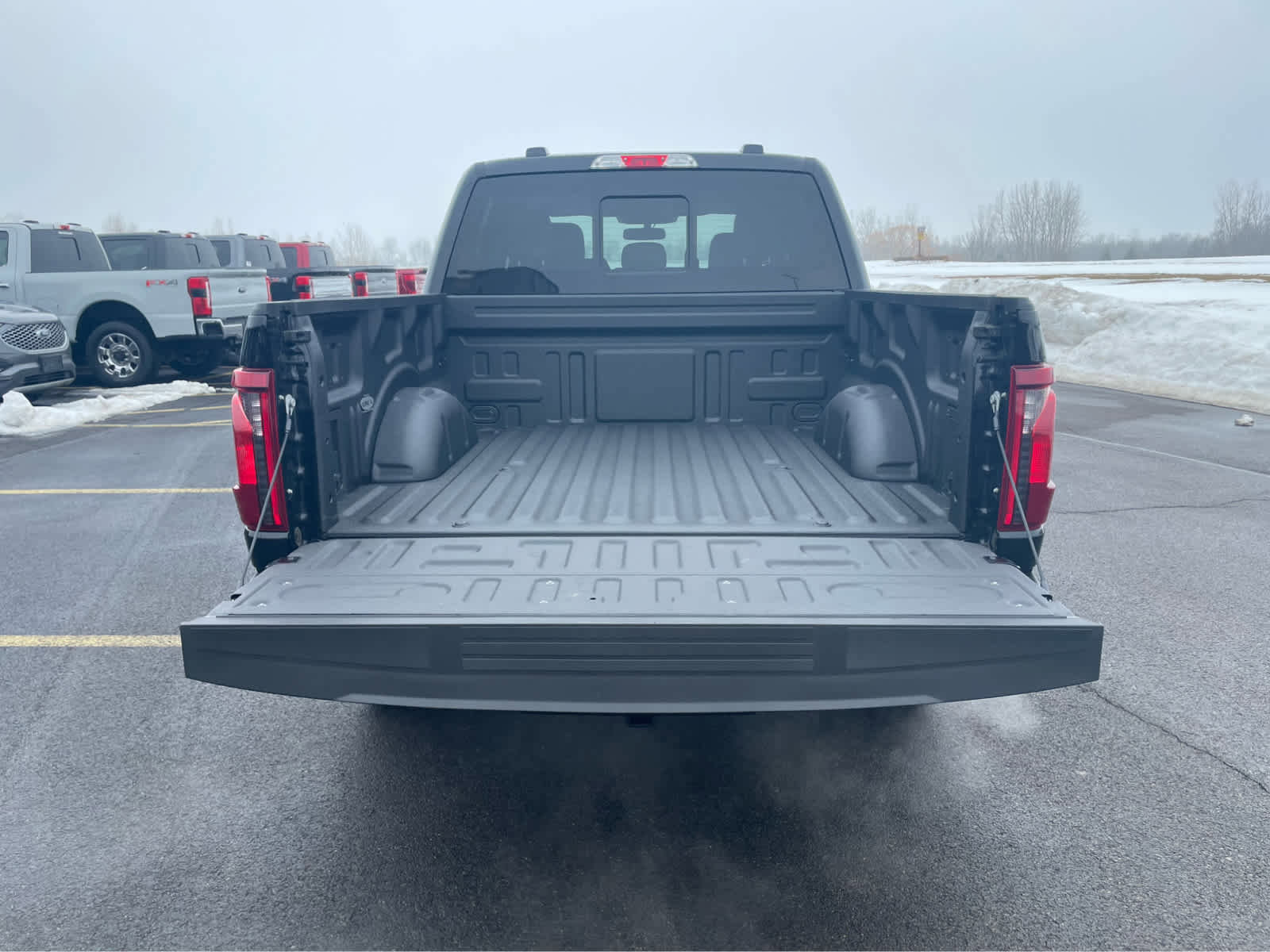 Used 2025 Ford F150 XLT w/ Equipment Group 302A MID image 12