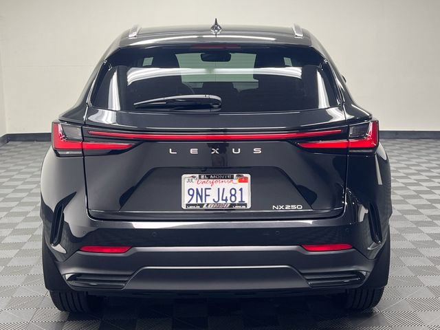 Certified 2025 Lexus NX 250 FWD image 6