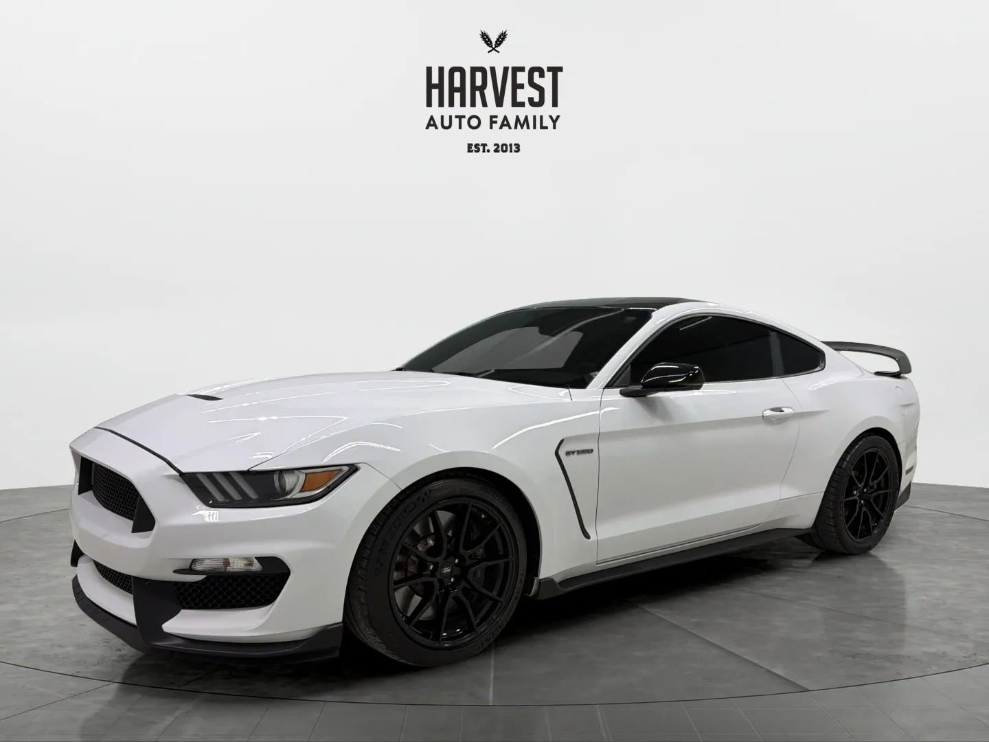 Used 2019 Ford Mustang Shelby GT350 w/ Technology Package image 1