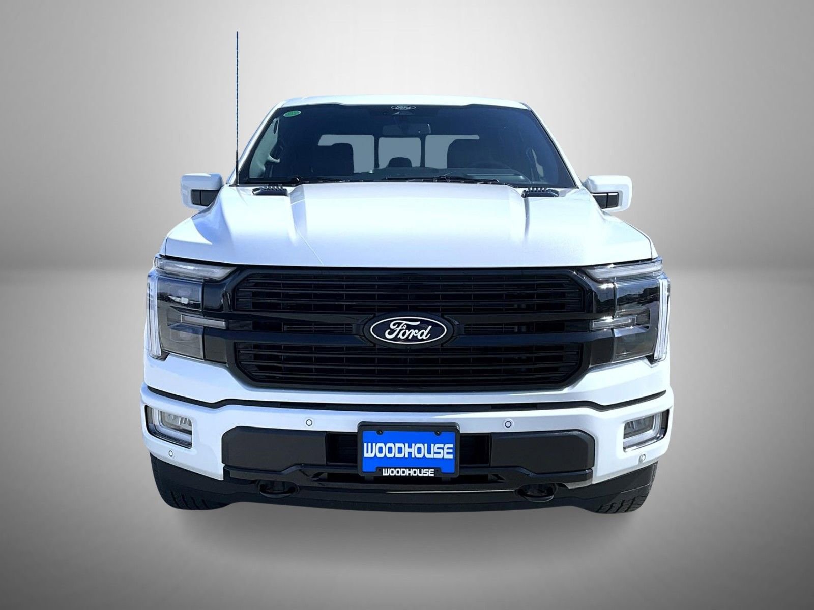 New 2026 Ford F150 Platinum w/ Equipment Group 702A High AWD/4WD image 2