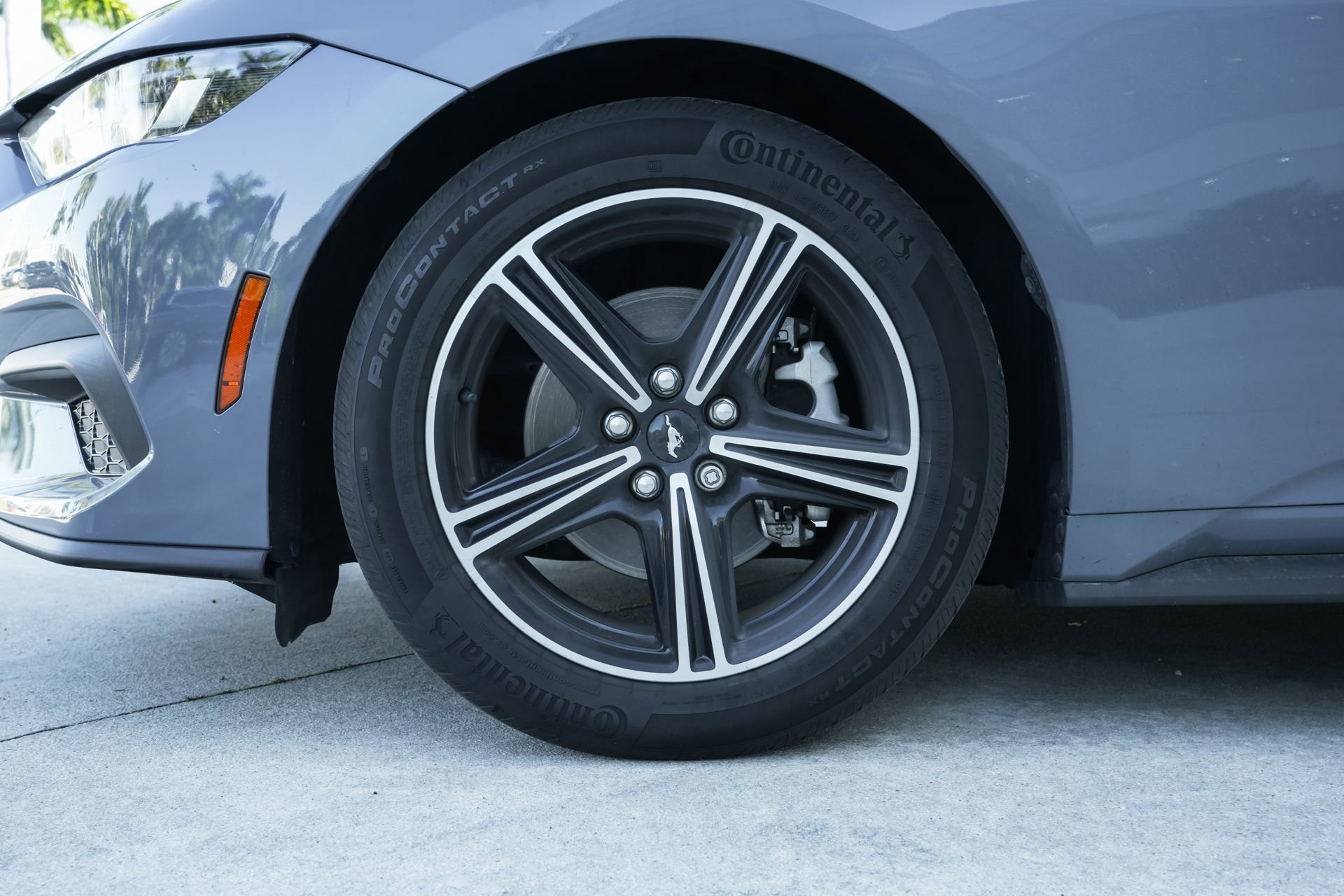 Used 2024 Ford Mustang EcoBoost image 13