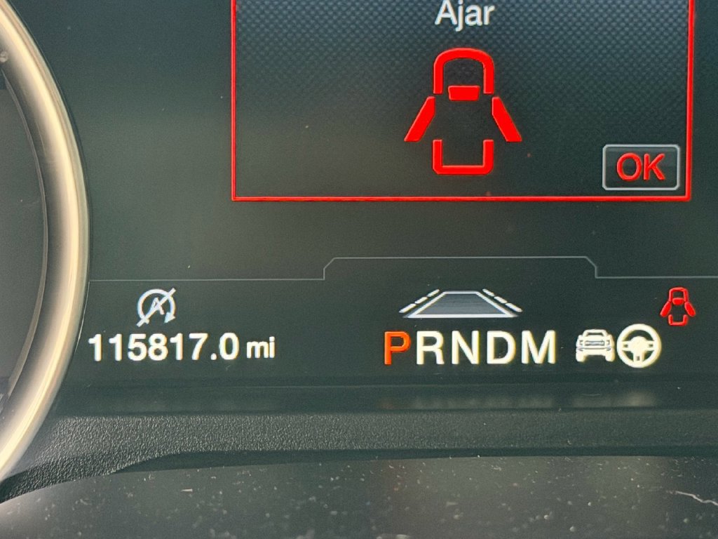 Used 2020 Ford F150 Raptor w/ Equipment Group 802A Luxury AWD/4WD image 12