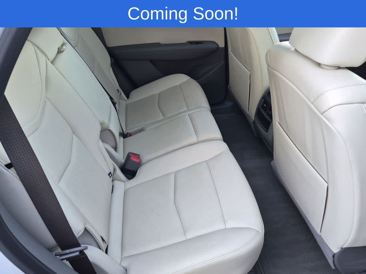 Used 2024 Cadillac XT5 Premium Luxury AWD/4WD image 21