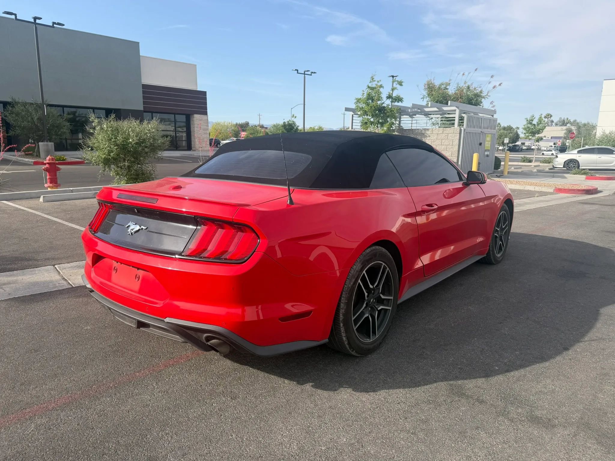 Used 2020 Ford Mustang Premium RWD image 5