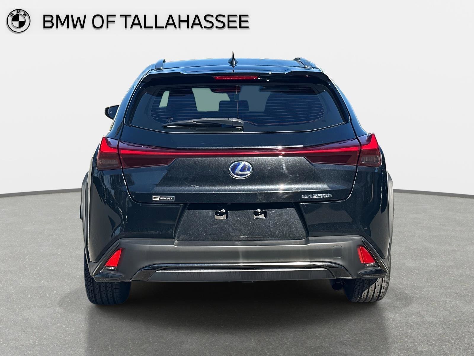 Used 2019 Lexus UX 250h F Sport w/ F Sport Premium Package image 7