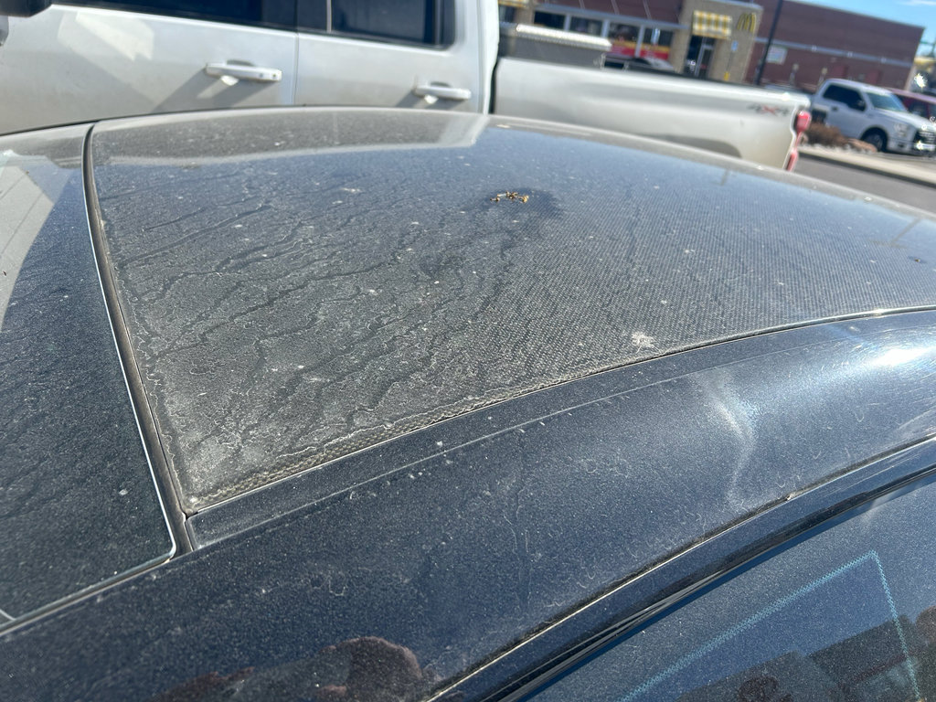 Used 2006 BMW M6 Coupe image 3