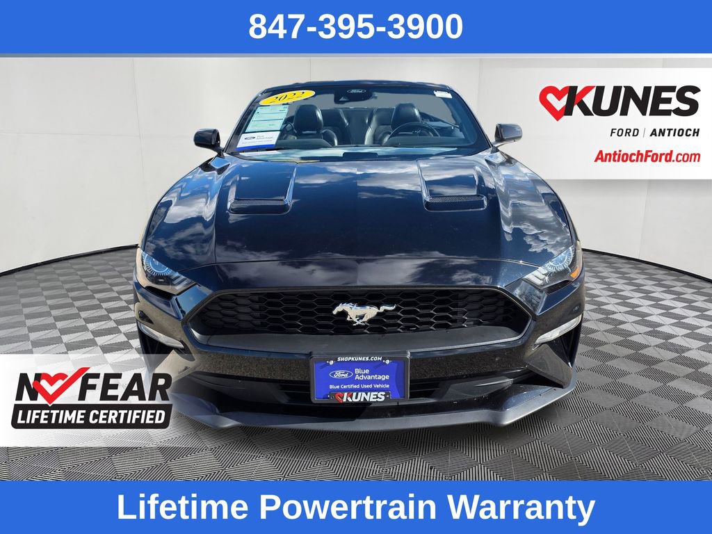 Certified 2022 Ford Mustang Premium image 2