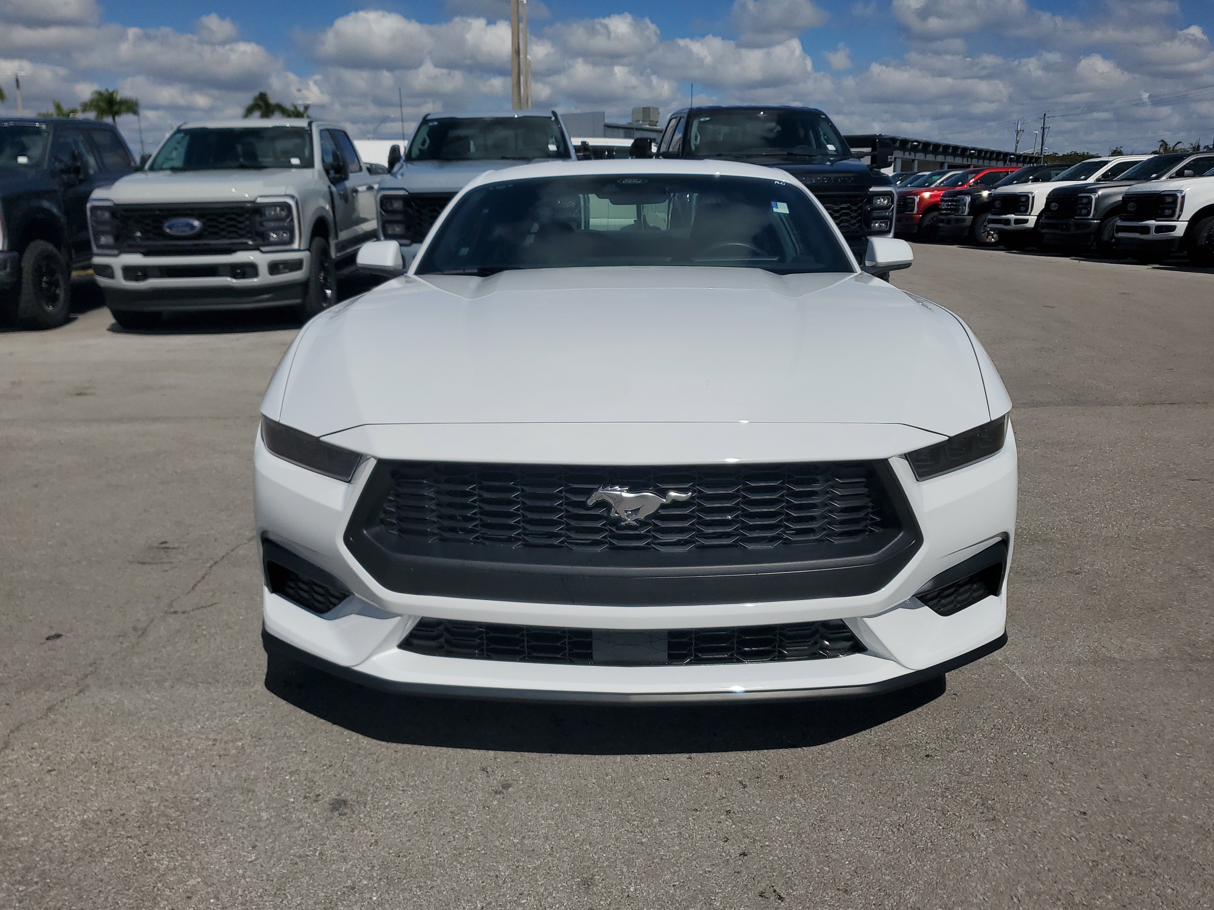 Used 2025 Ford Mustang Coupe image 2
