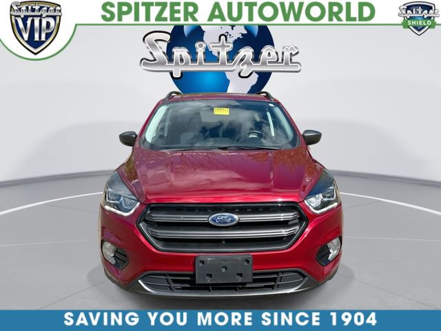 Used 2019 Ford Escape SEL AWD/4WD image 3