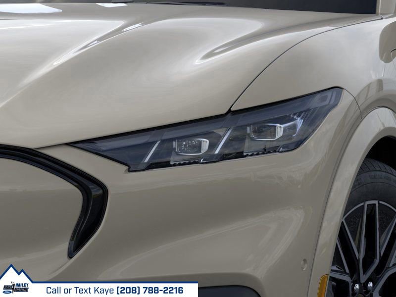 New 2025 Ford Mustang Mach-E Premium w/ Interior Protection Package image 46