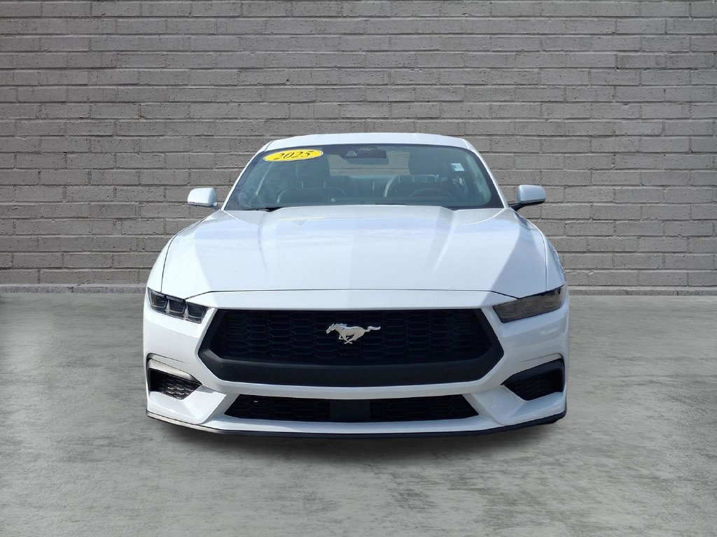 Used 2025 Ford Mustang Premium RWD image 2