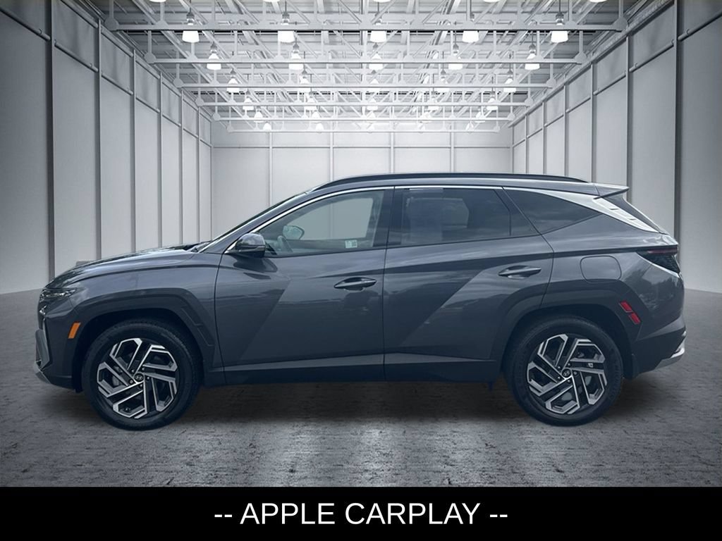Used 2025 Hyundai Tucson Limited AWD/4WD image 3